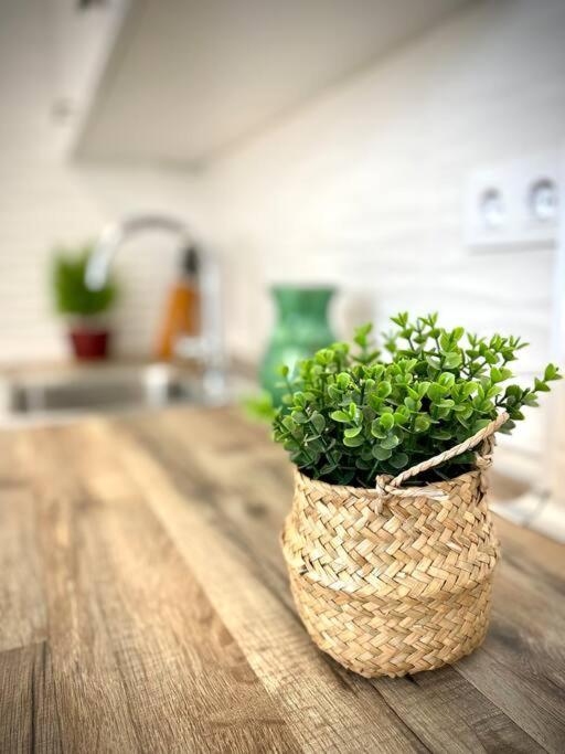 Mychoice Carmen Apartment Rota Ngoại thất bức ảnh
